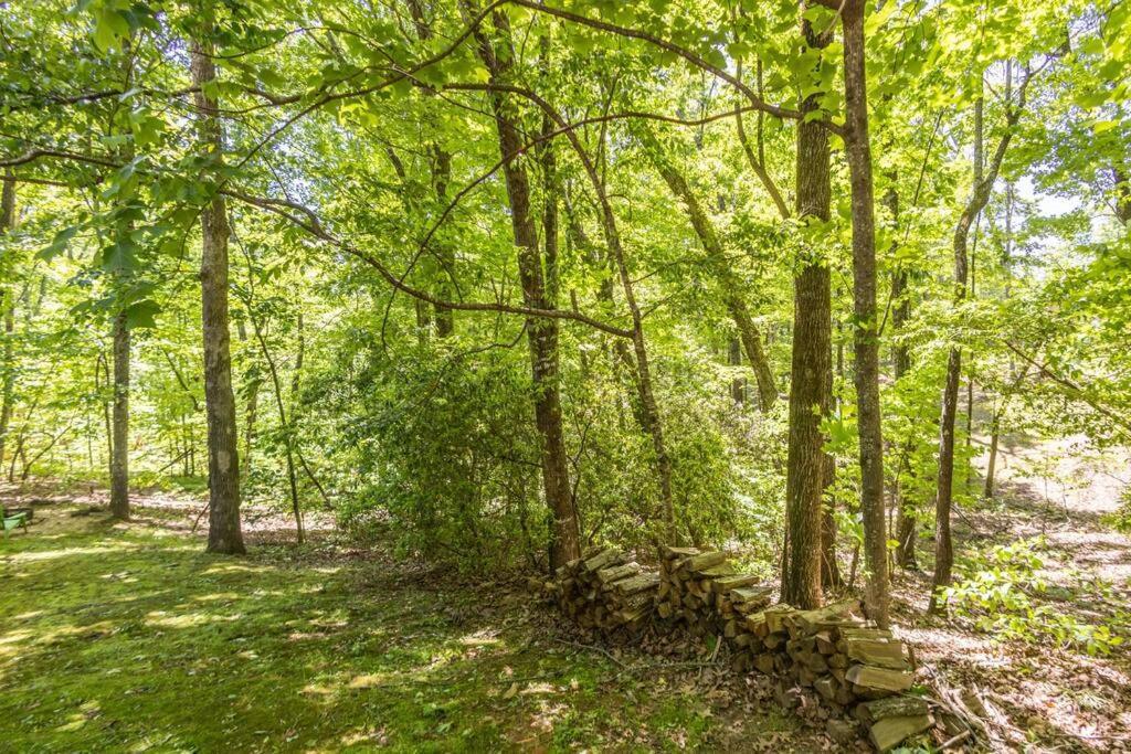 Pet Friendly Luxury Cabin Near Helen With Fire Pit Cleveland Buitenkant foto